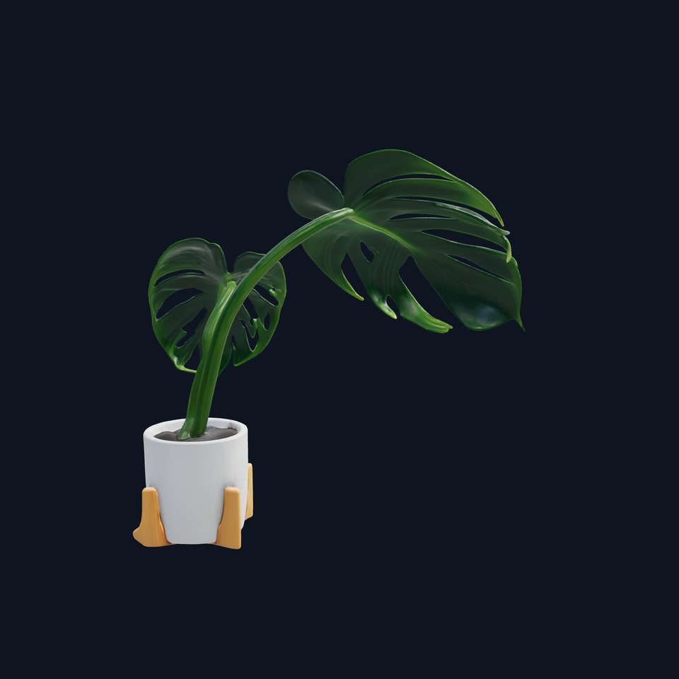 Monstera Plant in Ceramic Pot model pack